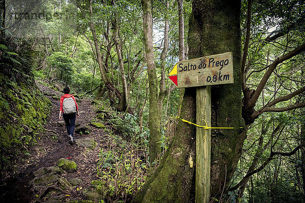 Junge Frau beim Trekking zum Salto do Prego; Faial da Terra  Sao Miguel  Azoren  Portugal