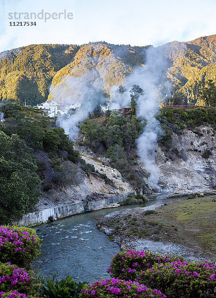 Fumarolen; Furnas  Sao Miguel  Azoren  Portugal'.