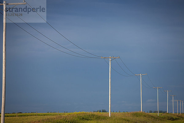 Elektrische Drähte und Masten auf dem Ackerland vor einem dunkelblauen Himmel; Saskatchewan  Kanada'.