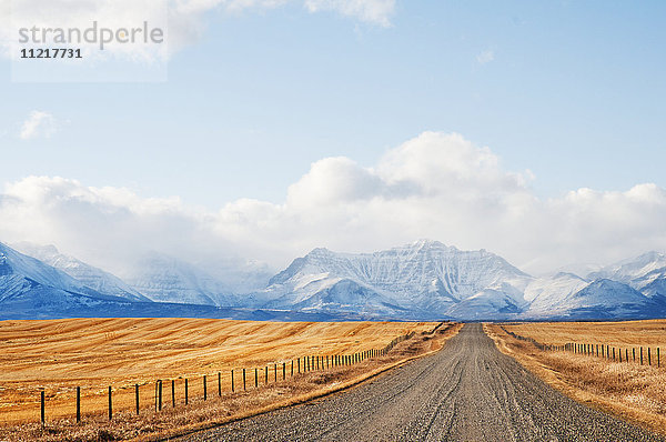 Schotterstraße zwischen Feldern und den Rocky Mountains in der Ferne; Pincher Creek  Alberta  Kanada'.