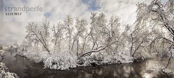 Winterwunderlandschaft; Thunder Bay  Ontario  Kanada'.