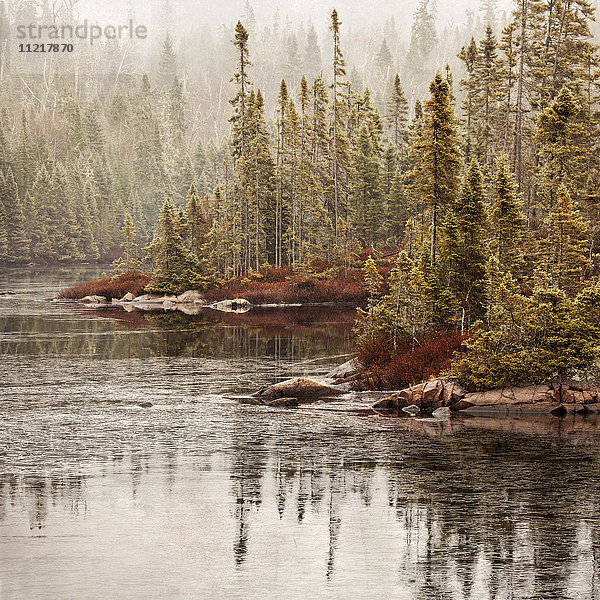 'Northern autumn landscape in fog and ice; Thunder Bay  Ontario  Canada'