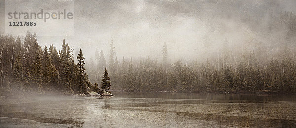 Nördliche Herbstlandschaft in Nebel und Eis; Thunder Bay  Ontario  Kanada'.