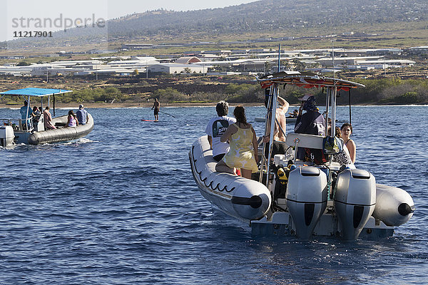 Delfin- und Walbeobachtungsboote mit Touristen und einem Stand-up-Paddleboarder vor der Küste von Kona; Kona  Insel Hawaii  Hawaii  Vereinigte Staaten von Amerika