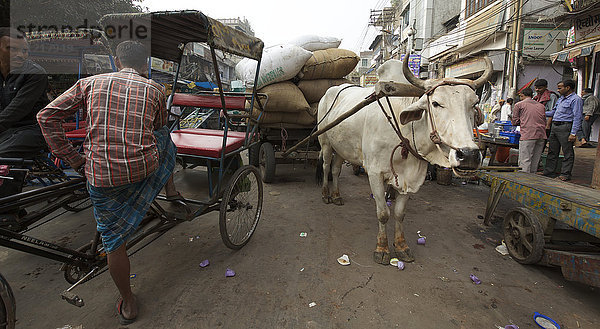Straßenleben auf dem alten Markt von Delhi