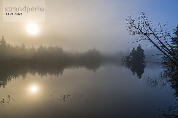 Morgennebel lichtet sich über einem kleinen Teich im Mendenhal Recreation Area; Juneau  Alaska  Vereinigte Staaten von Amerika'.