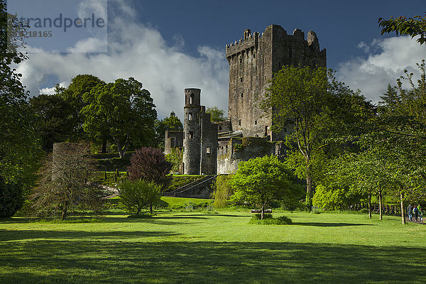Burg Blarney; Grafschaft Cork  Irland
