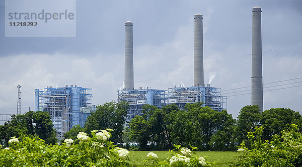 Kraftwerk am Mississippi  aufgenommen im Frühsommer in der Nähe von Baton Rouge  Louisiana  mit blühender Hecke im Vordergrund; Baton Rouge  Louisiana  Vereinigte Staaten von Amerika