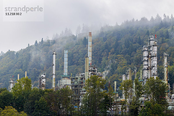 Eine Erdölraffinerie in Vancouver im Burrard Inlet am Fuße des Burnaby Mountain nimmt Rohöl und Gas aus Pipelines auf und verarbeitet das Rohprodukt  wobei die an diesen Rohren sichtbaren Emissionen entstehen; Vancouver  British Columbia  Kanada