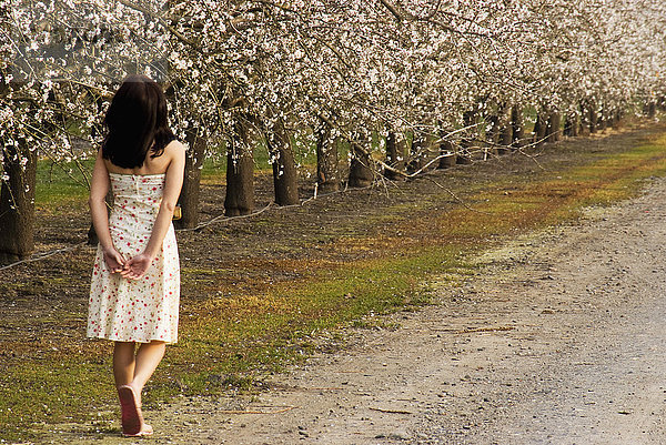 Teenager-Mädchen  das einen mit Mandelblüten gesäumten Weg entlang geht