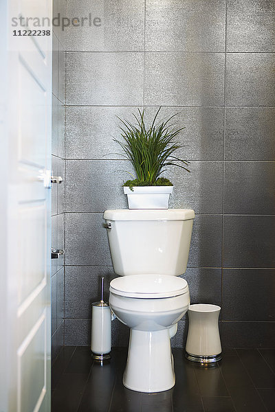 Topfpflanze über der Toilette