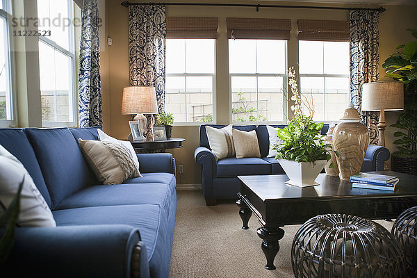 Blaue Sofas im traditionellen Wohnzimmer