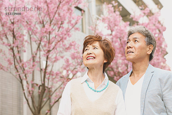 Modisches japanisches Seniorenpaar und Kirschblüten in der Innenstadt von Tokio