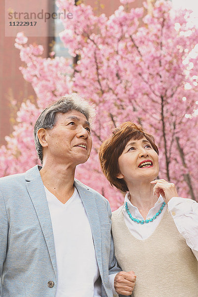 Modisches japanisches Seniorenpaar und Kirschblüten in der Innenstadt von Tokio