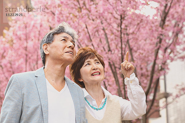 Modisches japanisches Seniorenpaar und Kirschblüten in der Innenstadt von Tokio