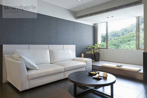 Weißes Sofa im modernen Wohnzimmer