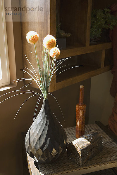 Zimmerpflanze in Vase
