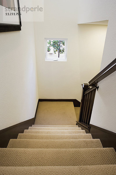 Traditionelles weißes Treppenhaus mit beigem Teppichboden