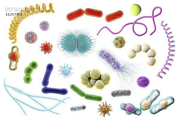 Mikroben  Illustration