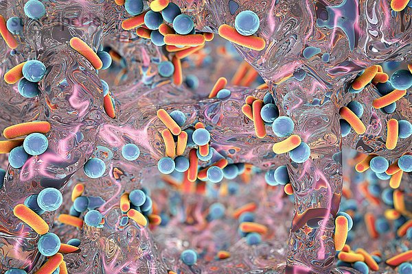 Stäbchenförmige Bakterien  Illustration