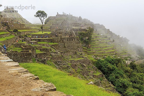 Ruinen von Machu Picchu