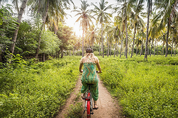 Rückansicht einer jungen Frau  die im Palmenwald Rad fährt  Gili Meno  Lombok  Indonesien