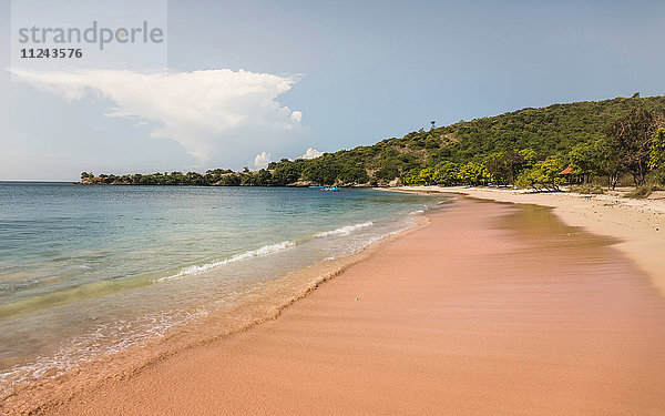 Blick auf Strand und Meer  Pink Beach  Lombok  Indonesien