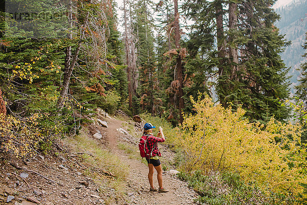 Frau beim Wandern  Aussichtsfotografie  Mineral King  Sequoia-Nationalpark  Kalifornien  USA