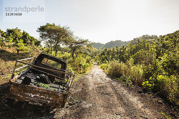 Verlassener Lastwagen auf Feldweg  Wana Giri  Bali  Indonesien