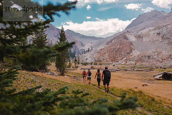 Gruppe von Freunden beim Wandern entlang des Weges  Rückansicht  Mineral King  Sequoia National Park  Kalifornien  USA