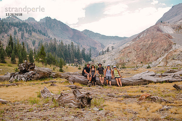 Gruppe von Freunden sitzt auf einem Baumstamm  Mineral King  Sequoia National Park  Kalifornien  USA