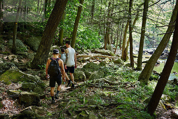 Gruppe von Freunden beim Trekking durch den Wald  Harriman State Park  New York  USA