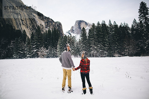 Rückansicht eines Paares  das sich auf schneebedeckter Landschaft an den Händen hält