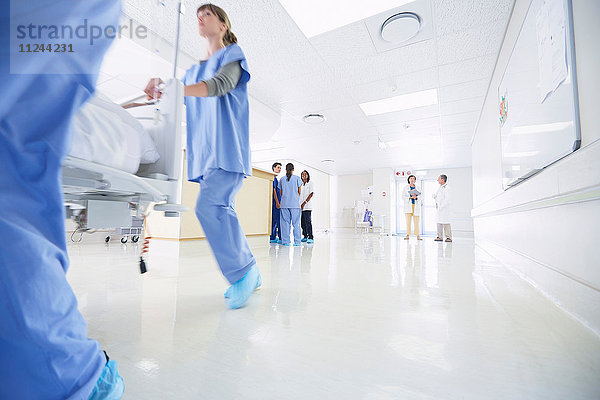 Männliche und weibliche Mediziner schieben dringend ein Krankenhausbett den Korridor entlang