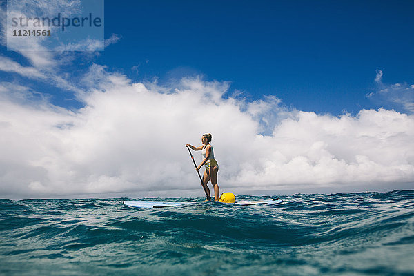 Schwangere Frau im mittleren Erwachsenenalter beim Paddelbootfahren im Meer aufstehen  Strand von Makua  Hawaii  USA