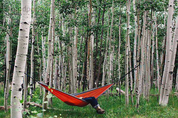 Männlicher Wanderer entspannt in Hängematte im Wald  Lockett Meadow  Arizona  USA