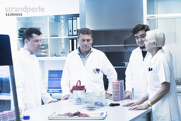 Wissenschaftler diskutieren im Labor