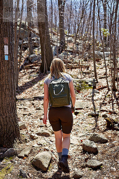 Rückansicht einer Wanderin  die im Wald wandert  Harriman State Park  New York State  USA