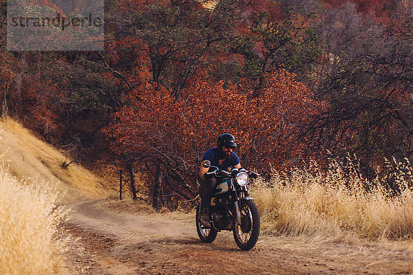 Motorrad fahrender Mann  Sequoia-Nationalpark  Kalifornien  USA