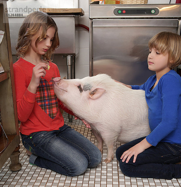 Zwei junge Mädchen in der Küche beim Füttern von Hausschweinen