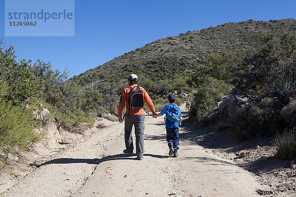 Rückansicht von Mann und Sohn beim Wandern auf dem Feldweg in den Anden  Valparaiso  Chile