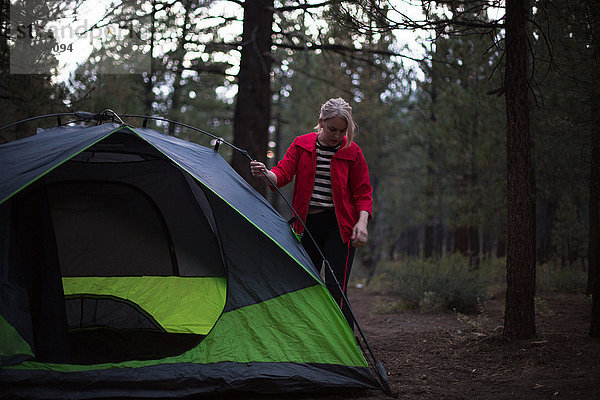 Junge Frau bereitet Zelt im Wald in der Dämmerung vor  Mammoth Lakes  Kalifornien  USA