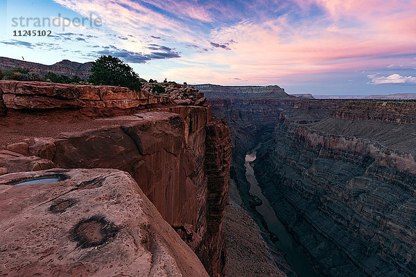 Toroweap Overlook  Grand Canyon  Toroweap  Utah  USA