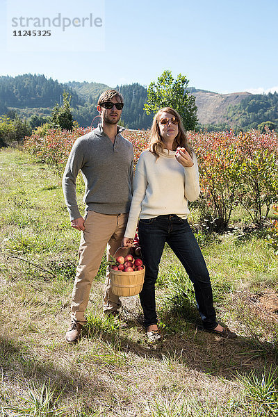 Porträt eines mittel-erwachsenen Paares mit einem Korb gepflückter Äpfel im Obstgarten eines Biobetriebs
