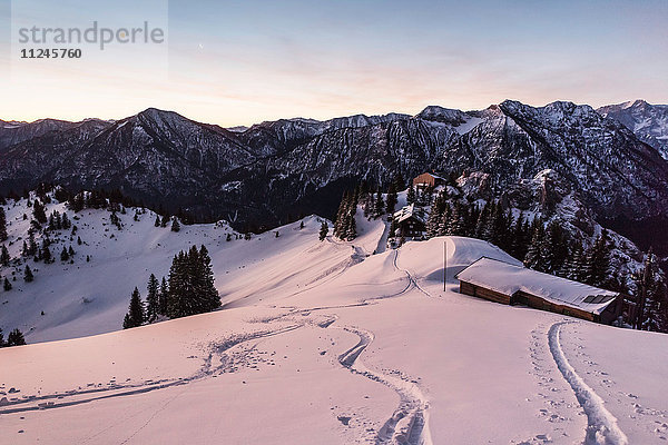 Schneepisten am Teufelstattkopf im Morgengrauen  Oberammergau  Bayern  Deutschland