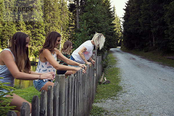 Mädchen und erwachsene Freundinnen klettern im Wald über den Zaun