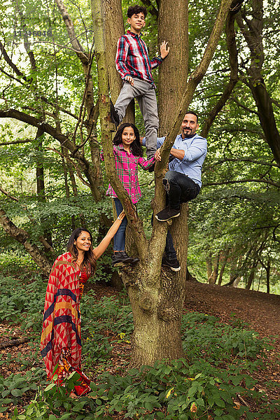 Familienportrait im Wald  Vater und zwei Kinder klettern auf Baum