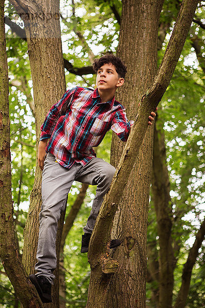 Porträt eines Teenagers im Baum stehend