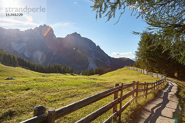 Feld- und sonnenbeschienene Dolomiten  Sexten  Südtirol  Italien