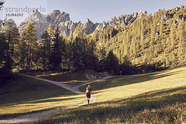 Rückansicht einer Wanderin auf dem Weg zu den Dolomiten  Sexten  Südtirol  Italien